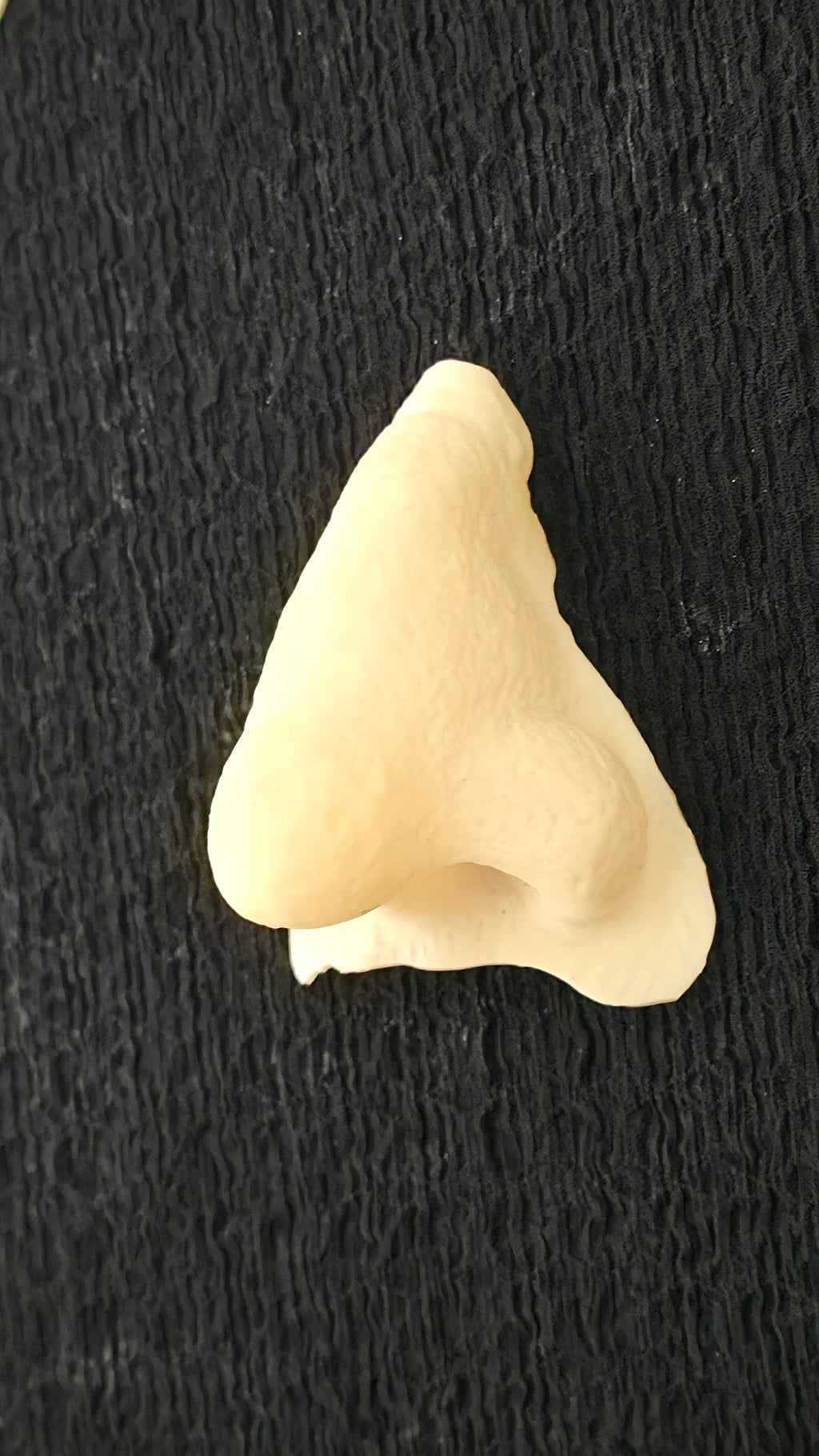 Character Nose #1