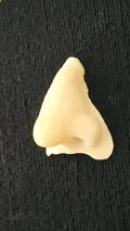 Character Nose #1