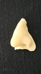Character Nose #1